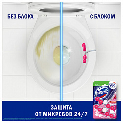Блок туалетный подвесной твердый 2х55 г, ДОМЕСТОС Сила 5 в 1 "Ледяная магнолия"