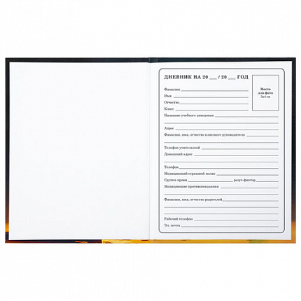 Дневник 1-4 класс 48 л., твердый, BRAUBERG, глянцевая ламинация, с подсказом, "Милый котик", 106835