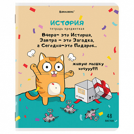 Тетради предметные, КОМПЛЕКТ 12 ПРЕДМЕТОВ, "КОТ-ЭНТУЗИАСТ", 48 л., TWIN-лак, BRAUBERG, 404609