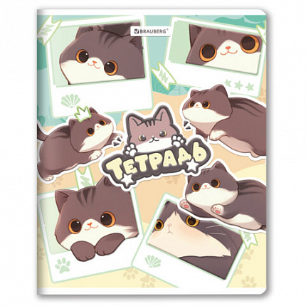 РЕЗЕРВ Тетрадь А5 48л. BRAUBERG МИЛЫЕ КОТЫ скоба, клетка, выборочный лак, 405193