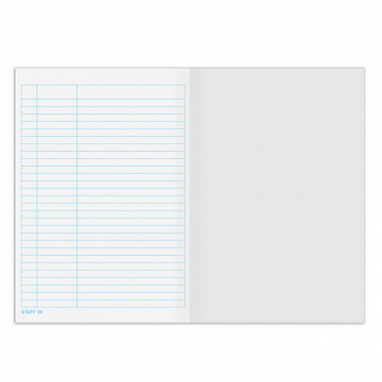 Книга учета 48 л., пустографка, обложка из мелованного картона, блок офсет, (А4 200х290 мм), STAFF, 130212