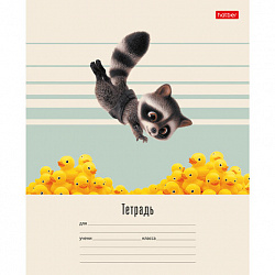 Тетрадь 18л. HATBER линия, обложка картон, ВОТ ЕНОТ (микс в спайке), 096747, 18Т5В2