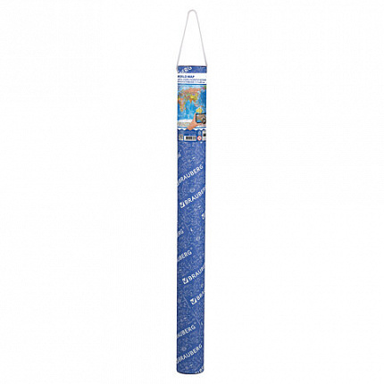 Карта мира политическая 117х80 см, 1:28М, с ламинацией, интерактивная, в тубусе, BRAUBERG, 112385