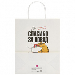 Пакет подарочный (1 штука) 26х13х32 см (L) "Funny Notes", ассорти, крафт, ЗОЛОТАЯ СКАЗКА, 700824