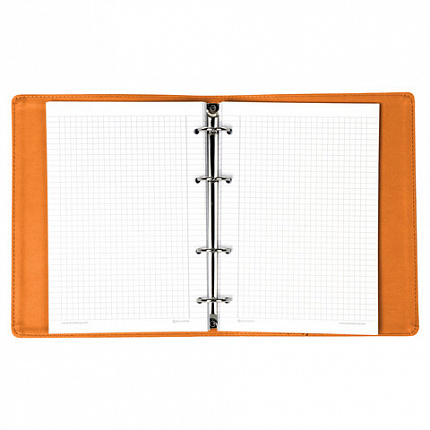 Тетрадь на кольцах А5 (180х220 мм), 120 листов, под кожу, клетка, BRAUBERG "Joy", оранжевый/светло-оранжевый, 129992