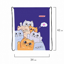 Мешок для обуви ПИФАГОР, 1 отделение, 42х34 см, "Cats greetings", 272382