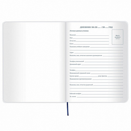 Дневник 1-11 класс 48 л., кожзам (гибкая), термотиснение, фольга, BRAUBERG, "МЕДВЕДЬ", 105969