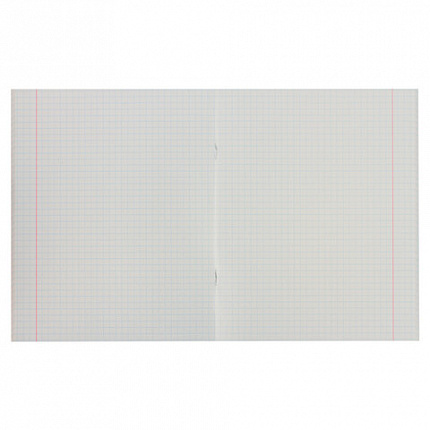 Тетрадь А5, 48 л., STAFF, скоба, клетка, офсет №2 ЭКОНОМ, обложка картон, "АБСОЛЮТ", 402784