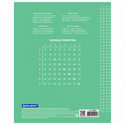 Тетрадь 24 л. BRAUBERG ЭКО "5-КА", клетка, обложка картон 170 г/м2, ЗЕЛЕНАЯ, 403003