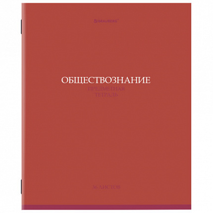 Тетради предметные, КОМПЛЕКТ 13 ПРЕДМЕТОВ, 36 л., обложка мелованная бумага, BRAUBERG, "КОЛОР", 405161