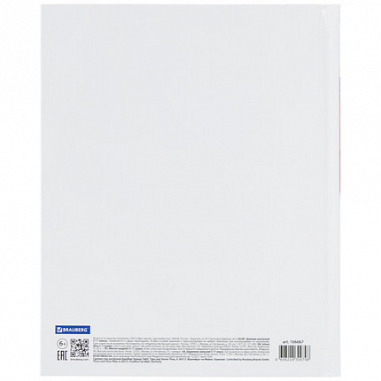 Дневник 5-11 класс 48 л., твердый, BRAUBERG, глянцевая ламинация, с подсказом, "Символика 2", 106067