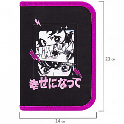 Пенал BRAUBERG с наполнением, 1 отделение, 1 откидная планка, 24 предмета, 21х14 см, "Anime movie", 272349