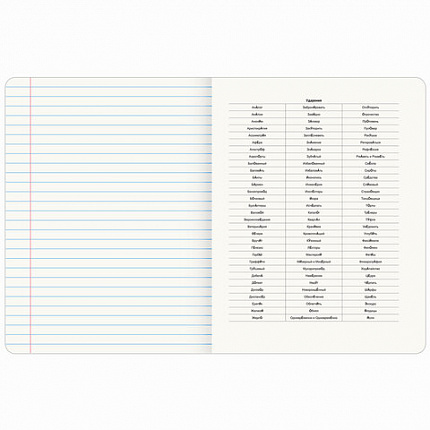 Тетрадь предметная ДАТЫ 48 л., TWIN лак, РУССКИЙ ЯЗЫК, линия, подсказ, BRAUBERG, 405131