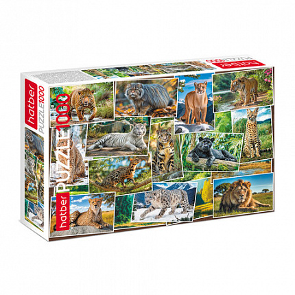 Пазл картонный 1000 элементов АССОРТИ, 10 дизайнов, 480х680 мм, HATBER