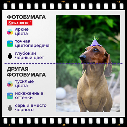 Фотобумага матовая, А4, 90 г/м2, односторонняя, 100 листов, ПАКЕТ, BRAUBERG ORIGINAL, 364424