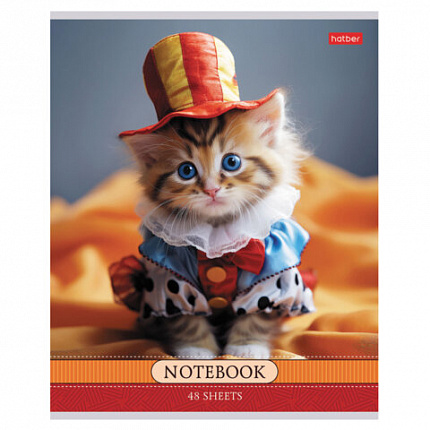 Тетрадь А5 48 л., HATBER скоба, клетка, обложка картон, "Котики-артисты" (микс в спайке), 085664, 48Т5В1