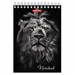 Блокнот А5, 146х205 мм, 60 л., гребень, картон, жесткая подложка, клетка, BRAUBERG, "Животные", 129810