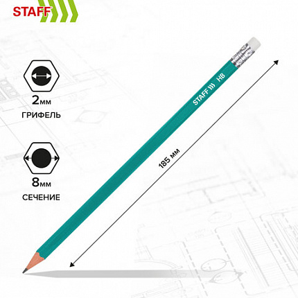 Карандаши чернографитные с ластиком STAFF EVERYDAY BLP-GRN, КОМПЛЕКТ 50 шт., НВ, корпус зеленый, 181941