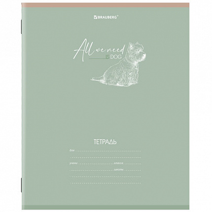 Тетрадь 24 л. BRAUBERG клетка, обложка картон, "PASTEL", 106486