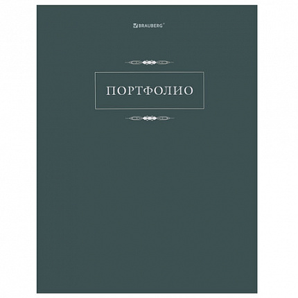 Папка-портфолио универсальная, 4 кольца, 20 файлов, 7БЦ матовая, BRAUBERG "Classic", 117554