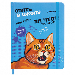 Дневник 1-11 класс 48 л., кожзам (твердая), печать, резинка, конверт, BRAUBERG, "Опять в школу", 107231