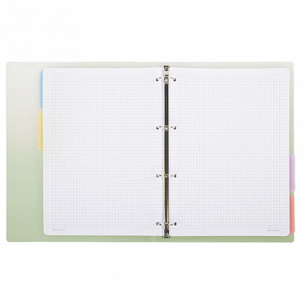 Тетрадь на кольцах БОЛЬШАЯ 305х230мм А4, 120л, пластик, с разделителями, BRAUBERG, Зеленый, 404625