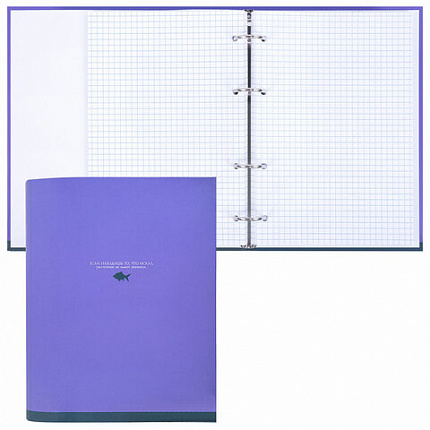 Тетрадь на кольцах А5 175х215 мм, 120 листов, твердый картон, клетка, BRAUBERG, "Monocolor", 404716