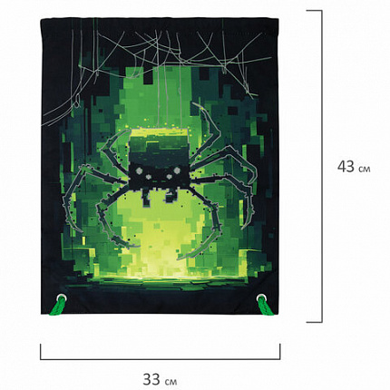 Мешок для обуви BRAUBERG PREMIUM, карман, подкладка, светоотражайка, 43х33 см, "Digital spider", 273444