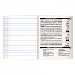 Тетрадь предметная КОТ-НЕПОСЕДА 48 л., пластиковая обложка, ЛИТЕРАТУРА, линия, подсказ, BRAUBERG, 405535