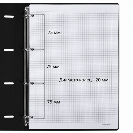 Тетрадь на кольцах БОЛЬШАЯ А4 (240х310 мм), 120 л., под кожу, BRAUBERG VISTA, "Гранаты", 404513
