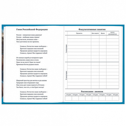 Дневник 1-11 класс 40 л., твердый, BRAUBERG, глянцевая ламинация, "Девушка с драконом", 107167