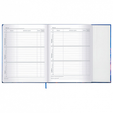 Дневник 1-11 класс 48 л., твердый, BRAUBERG, матовая ламинация, магнитный клапан, закладка-ляссе, с подсказом, "Magic", 107243