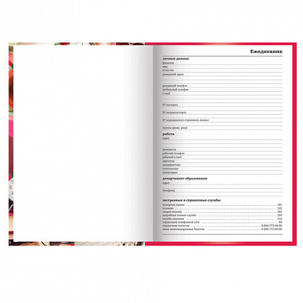 Ежедневник учителя специализированный А5 (215х145 мм), твердая обложка, 144 л., BRAUBERG, "АКСЕССУАРЫ", 129232