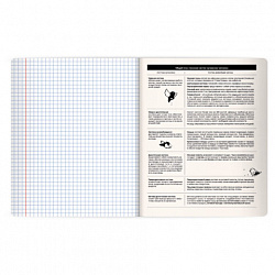 Тетрадь предметная КОТ-НЕПОСЕДА 48 л., пластиковая обложка, БИОЛОГИЯ, клетка, подсказ, BRAUBERG, 405530