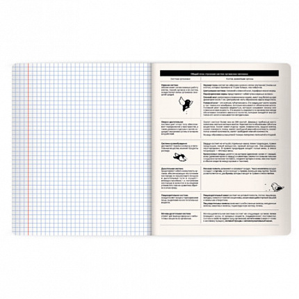 Тетрадь предметная КОТ-НЕПОСЕДА 48л, пластиковая обложка, БИОЛОГИЯ, клетка, подсказ, BRAUBERG, 405530