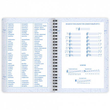 Дневник для музыкальной школы 48 листов, гребень, пластиковая обложка, картон, BRAUBERG, "МИКС", 107519