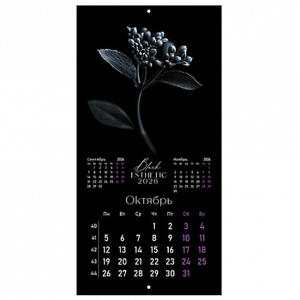Календарь настенный перекидной 2026г, BRAUBERG, 12 листов, 28,5х28,5см, Black esthetic, 116927