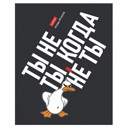 Тетрадь А5 48 л., HATBER скоба, клетка, выборочный лак, "Гусь умный" (микс в спайке), 078540, 48Т5вмВ1