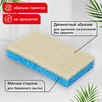 Губки для посуды 110х70х20 мм, ЦЕЛЛЮЛОЗНЫЕ + АБРАЗИВ, КОМПЛЕКТ 5 штук, синий/белый абразив, LAIMA, 700260