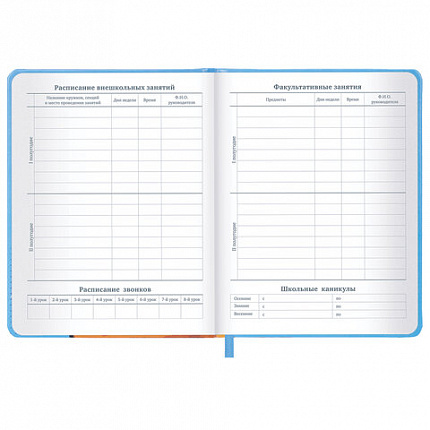 Дневник 1-11 класс 48 л., кожзам (твердая), печать, резинка, конверт, BRAUBERG, "Опять в школу", 107231