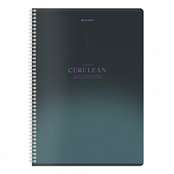 Тетрадь А4, 96 л., BRAUBERG, гребень, клетка, Soft Touch, "Peaceful" (микс в спайке), 405312