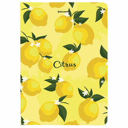 Блокнот с резинкой без линовки 96 л., А5 (145х203 мм), твердая обложка, BRAUBERG, "Lemons", 113727