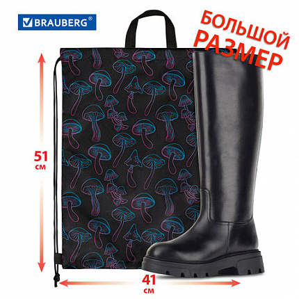 Мешок для обуви BRAUBERG большой удобный с ручкой, 51х41 см, Goblincore, 272401