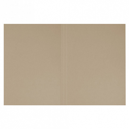 Папка без скоросшивателя "Дело", картон мелованный, плотность 440 г/м2, до 200 листов, BRAUBERG, 110928