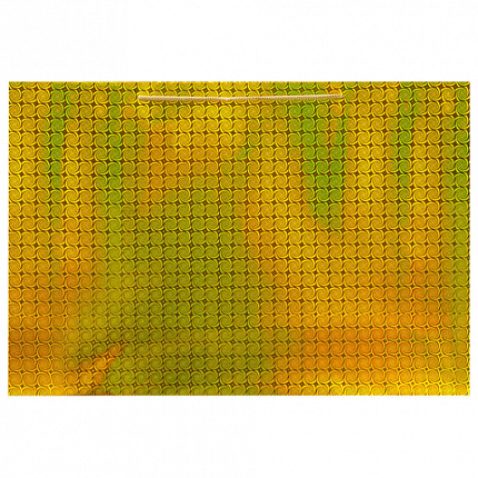 Пакет подарочный (1 шт.) 53x16x38 см, "BIG SIZE", голография, ассорти 3 цвета, ЗОЛОТАЯ СКАЗКА, 609730