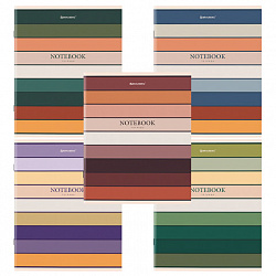 Тетрадь А5 48 л. BRAUBERG скоба, клетка, обложка картон, "LINE" (микс в спайке), 404364