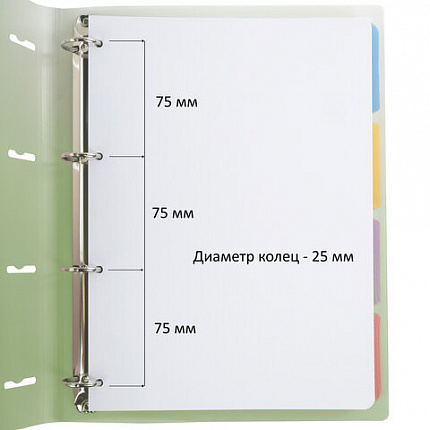 Тетрадь на кольцах БОЛЬШАЯ 305х230мм А4, 120л, пластик, с разделителями, BRAUBERG, Зеленый, 404625
