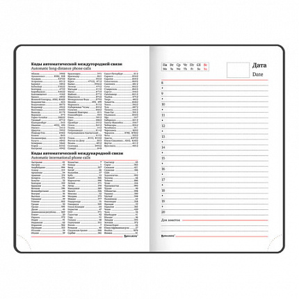 Ежедневник недатированный МАЛЫЙ ФОРМАТ А6 (100х150 мм) BRAUBERG "Select", балакрон, 160 л., черный, 123480