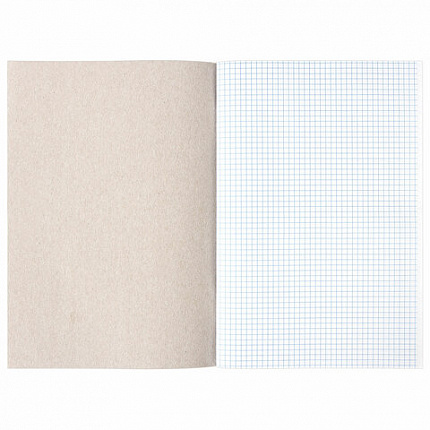Книга учета 48 л., клетка, обложка из мелованного картона, блок офсет, А4 (200х290 мм), STAFF, 130055