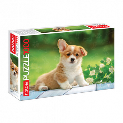 Пазл картонный 1000 элементов АССОРТИ, 10 дизайнов, 480х680 мм, HATBER